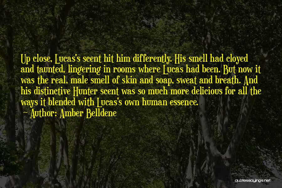 Amber Belldene Quotes: Up Close, Lucas's Scent Hit Him Differently. His Smell Had Cloyed And Taunted, Lingering In Rooms Where Lucas Had Been.