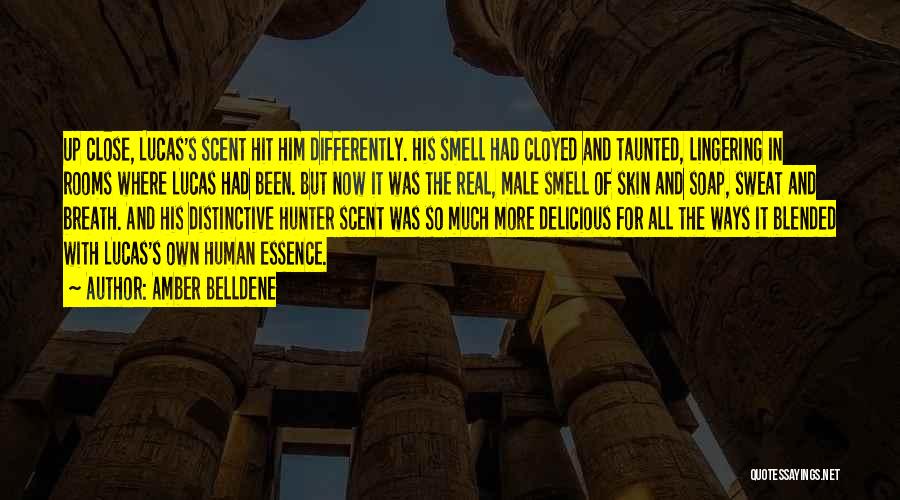 Amber Belldene Quotes: Up Close, Lucas's Scent Hit Him Differently. His Smell Had Cloyed And Taunted, Lingering In Rooms Where Lucas Had Been.