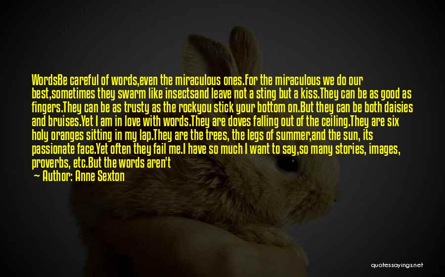 Anne Sexton Quotes: Wordsbe Careful Of Words,even The Miraculous Ones.for The Miraculous We Do Our Best,sometimes They Swarm Like Insectsand Leave Not A