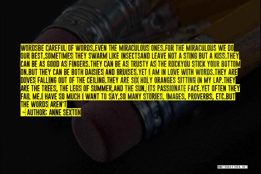 Anne Sexton Quotes: Wordsbe Careful Of Words,even The Miraculous Ones.for The Miraculous We Do Our Best,sometimes They Swarm Like Insectsand Leave Not A