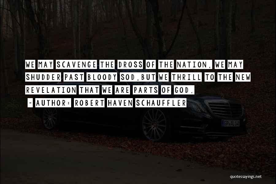 Robert Haven Schauffler Quotes: We May Scavenge The Dross Of The Nation, We May Shudder Past Bloody Sod,but We Thrill To The New Revelation