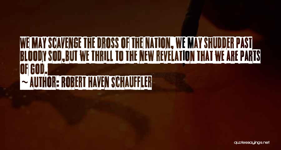 Robert Haven Schauffler Quotes: We May Scavenge The Dross Of The Nation, We May Shudder Past Bloody Sod,but We Thrill To The New Revelation