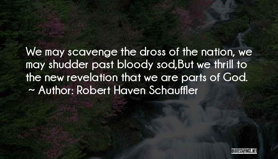 Robert Haven Schauffler Quotes: We May Scavenge The Dross Of The Nation, We May Shudder Past Bloody Sod,but We Thrill To The New Revelation