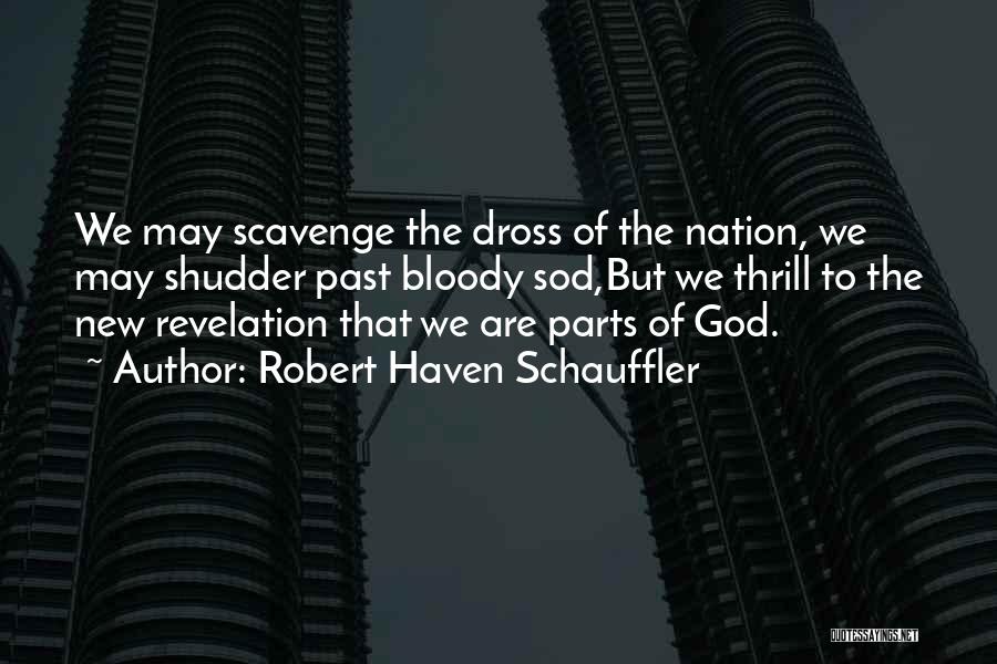 Robert Haven Schauffler Quotes: We May Scavenge The Dross Of The Nation, We May Shudder Past Bloody Sod,but We Thrill To The New Revelation