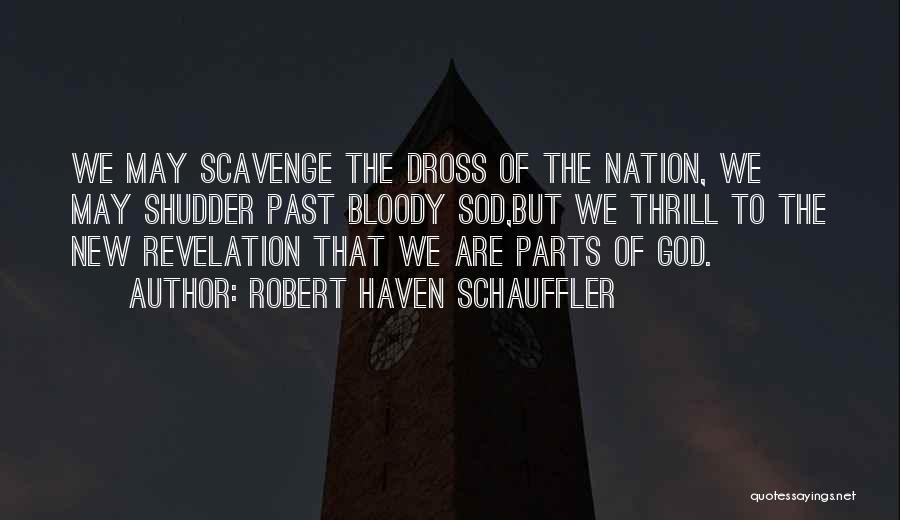 Robert Haven Schauffler Quotes: We May Scavenge The Dross Of The Nation, We May Shudder Past Bloody Sod,but We Thrill To The New Revelation
