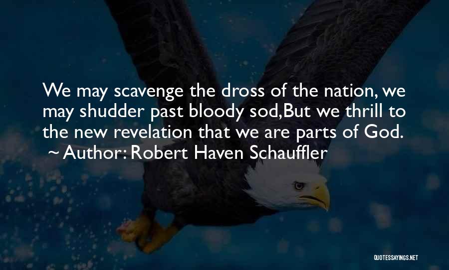 Robert Haven Schauffler Quotes: We May Scavenge The Dross Of The Nation, We May Shudder Past Bloody Sod,but We Thrill To The New Revelation