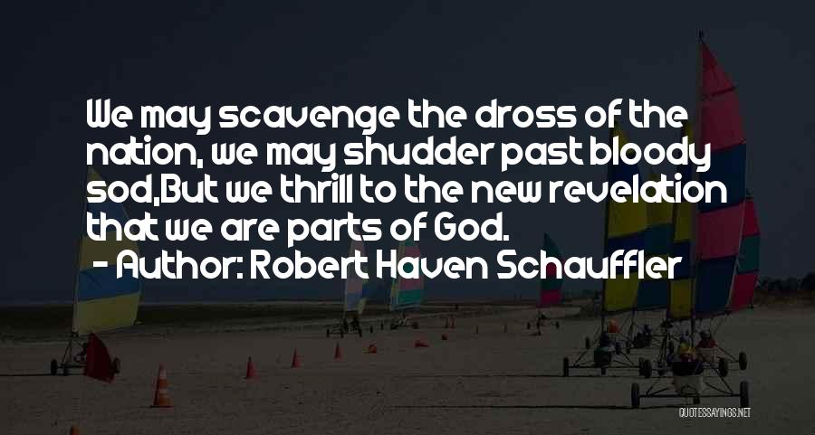 Robert Haven Schauffler Quotes: We May Scavenge The Dross Of The Nation, We May Shudder Past Bloody Sod,but We Thrill To The New Revelation
