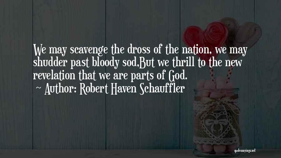 Robert Haven Schauffler Quotes: We May Scavenge The Dross Of The Nation, We May Shudder Past Bloody Sod,but We Thrill To The New Revelation