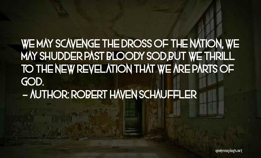 Robert Haven Schauffler Quotes: We May Scavenge The Dross Of The Nation, We May Shudder Past Bloody Sod,but We Thrill To The New Revelation