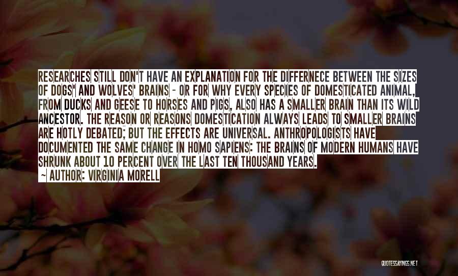 Virginia Morell Quotes: Researches Still Don't Have An Explanation For The Differnece Between The Sizes Of Dogs' And Wolves' Brains - Or For