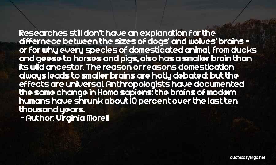 Virginia Morell Quotes: Researches Still Don't Have An Explanation For The Differnece Between The Sizes Of Dogs' And Wolves' Brains - Or For