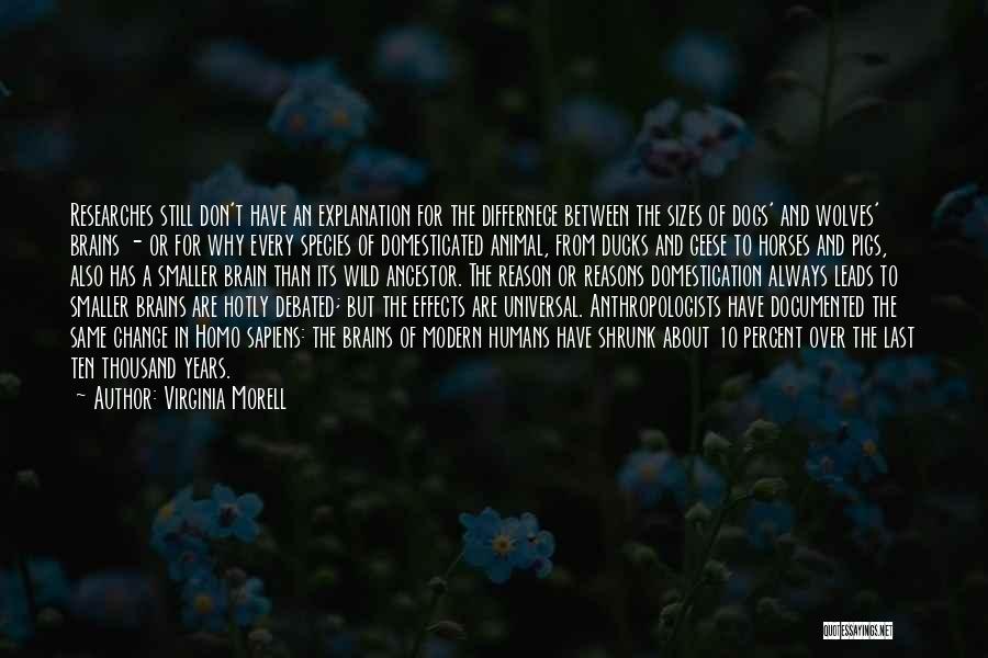 Virginia Morell Quotes: Researches Still Don't Have An Explanation For The Differnece Between The Sizes Of Dogs' And Wolves' Brains - Or For