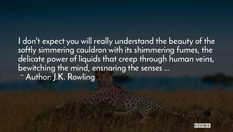 J.K. Rowling Quotes: I Don't Expect You Will Really Understand The Beauty Of The Softly Simmering Cauldron With Its Shimmering Fumes, The Delicate