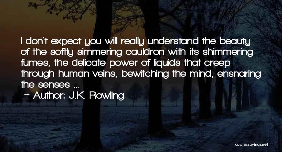 J.K. Rowling Quotes: I Don't Expect You Will Really Understand The Beauty Of The Softly Simmering Cauldron With Its Shimmering Fumes, The Delicate