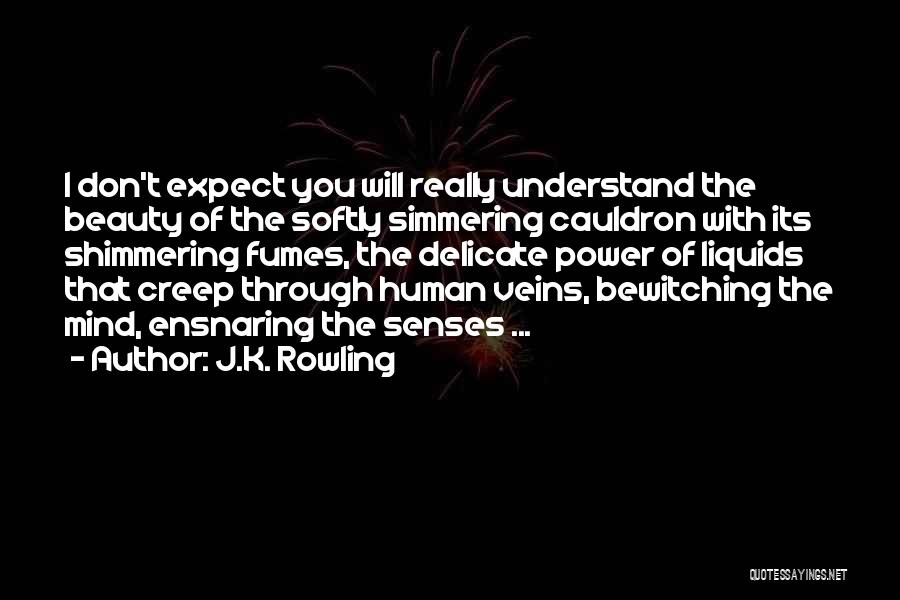 J.K. Rowling Quotes: I Don't Expect You Will Really Understand The Beauty Of The Softly Simmering Cauldron With Its Shimmering Fumes, The Delicate