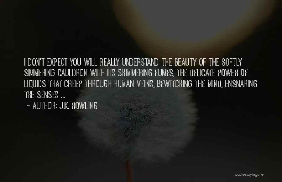 J.K. Rowling Quotes: I Don't Expect You Will Really Understand The Beauty Of The Softly Simmering Cauldron With Its Shimmering Fumes, The Delicate