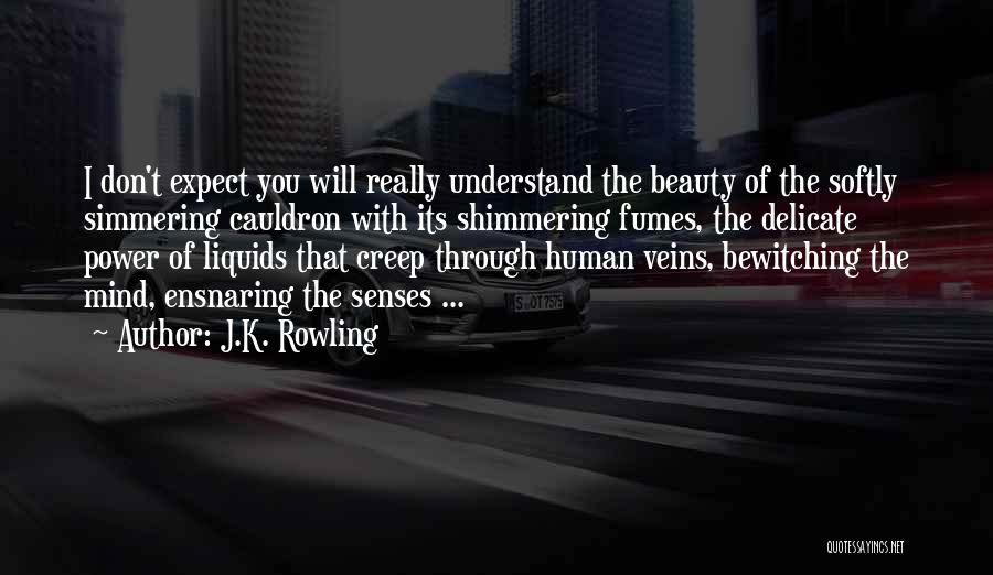 J.K. Rowling Quotes: I Don't Expect You Will Really Understand The Beauty Of The Softly Simmering Cauldron With Its Shimmering Fumes, The Delicate