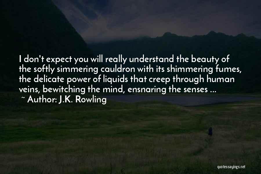 J.K. Rowling Quotes: I Don't Expect You Will Really Understand The Beauty Of The Softly Simmering Cauldron With Its Shimmering Fumes, The Delicate