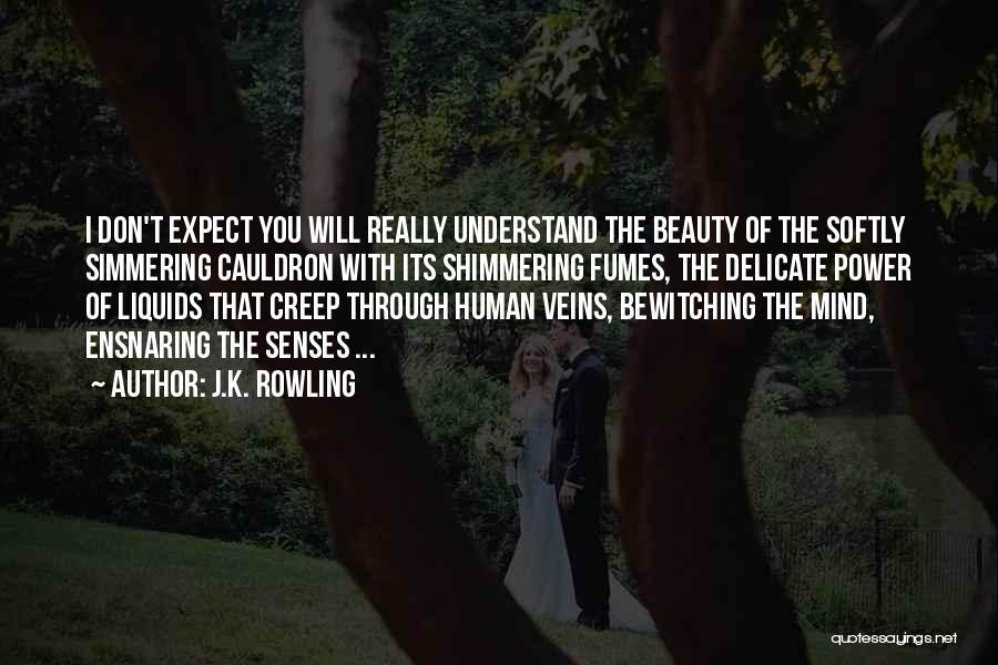 J.K. Rowling Quotes: I Don't Expect You Will Really Understand The Beauty Of The Softly Simmering Cauldron With Its Shimmering Fumes, The Delicate