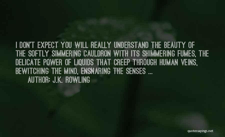 J.K. Rowling Quotes: I Don't Expect You Will Really Understand The Beauty Of The Softly Simmering Cauldron With Its Shimmering Fumes, The Delicate