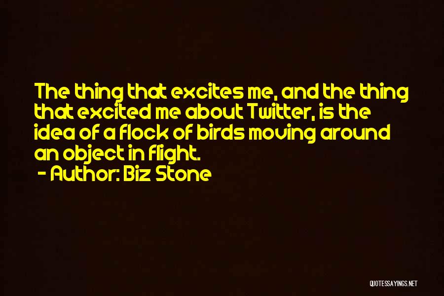 Biz Stone Quotes: The Thing That Excites Me, And The Thing That Excited Me About Twitter, Is The Idea Of A Flock Of