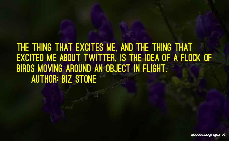 Biz Stone Quotes: The Thing That Excites Me, And The Thing That Excited Me About Twitter, Is The Idea Of A Flock Of
