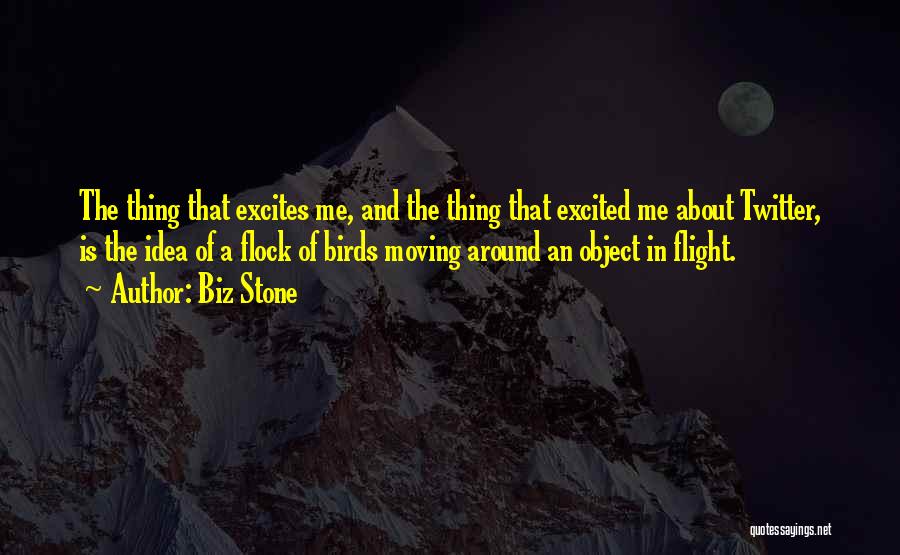Biz Stone Quotes: The Thing That Excites Me, And The Thing That Excited Me About Twitter, Is The Idea Of A Flock Of