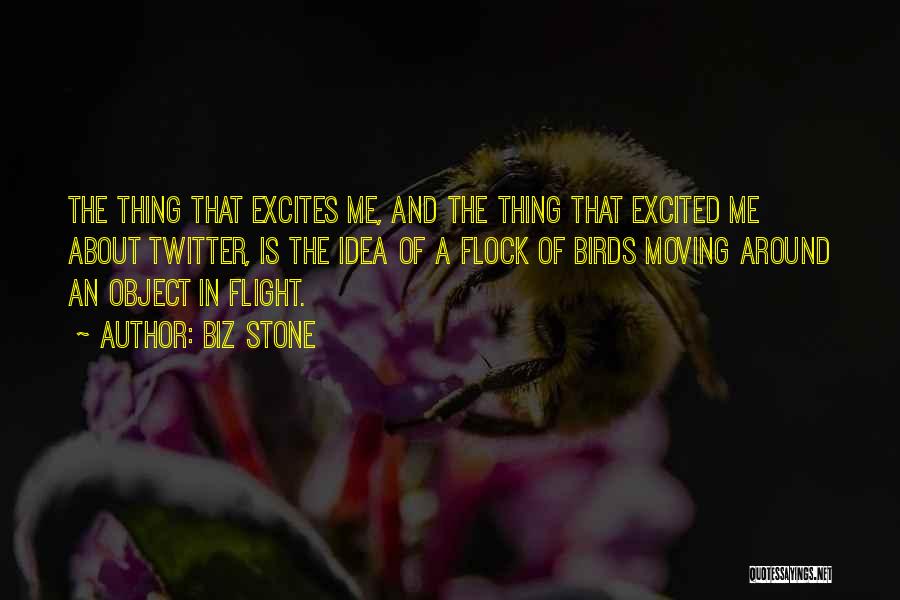Biz Stone Quotes: The Thing That Excites Me, And The Thing That Excited Me About Twitter, Is The Idea Of A Flock Of