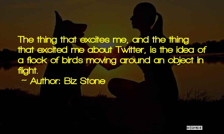 Biz Stone Quotes: The Thing That Excites Me, And The Thing That Excited Me About Twitter, Is The Idea Of A Flock Of