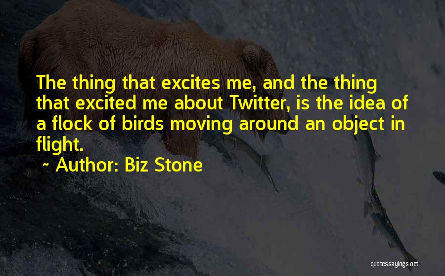 Biz Stone Quotes: The Thing That Excites Me, And The Thing That Excited Me About Twitter, Is The Idea Of A Flock Of
