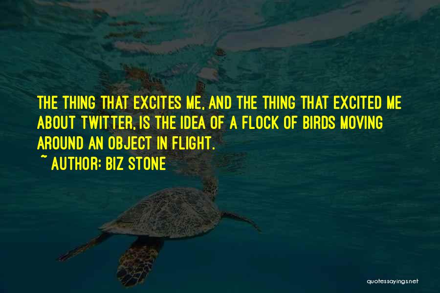 Biz Stone Quotes: The Thing That Excites Me, And The Thing That Excited Me About Twitter, Is The Idea Of A Flock Of
