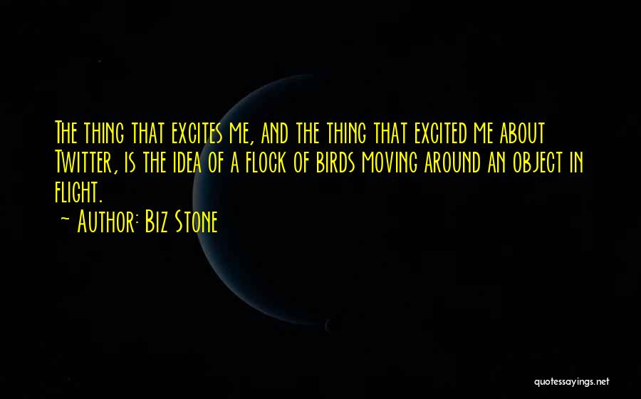 Biz Stone Quotes: The Thing That Excites Me, And The Thing That Excited Me About Twitter, Is The Idea Of A Flock Of