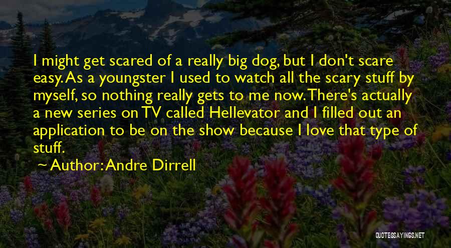 Andre Dirrell Quotes: I Might Get Scared Of A Really Big Dog, But I Don't Scare Easy. As A Youngster I Used To