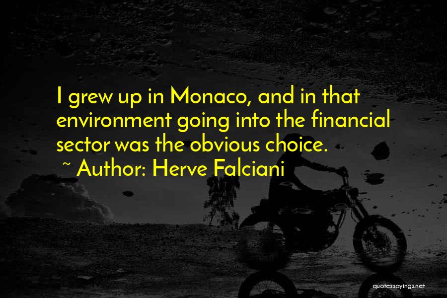 Herve Falciani Quotes: I Grew Up In Monaco, And In That Environment Going Into The Financial Sector Was The Obvious Choice.
