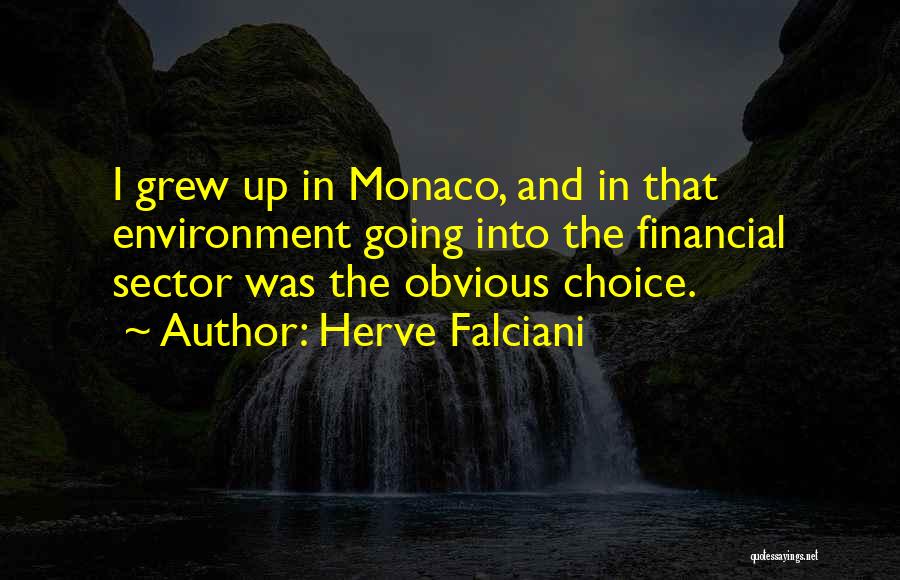 Herve Falciani Quotes: I Grew Up In Monaco, And In That Environment Going Into The Financial Sector Was The Obvious Choice.