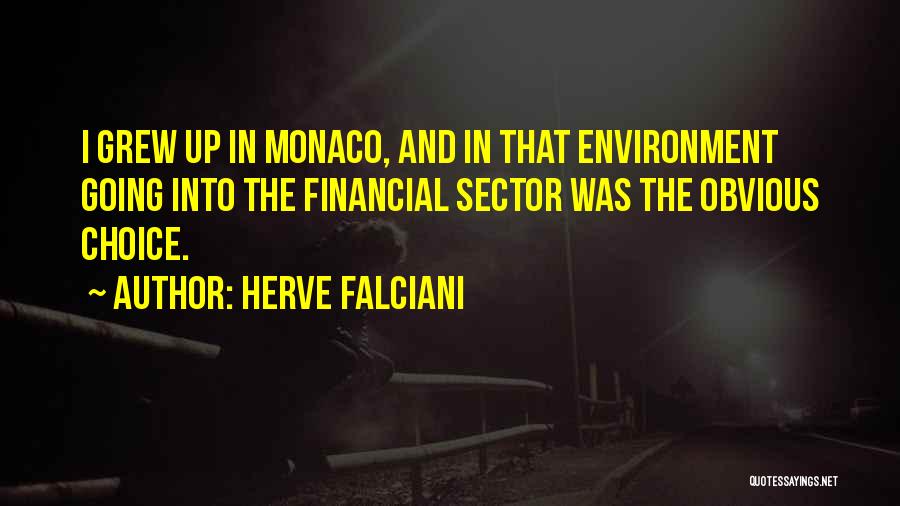 Herve Falciani Quotes: I Grew Up In Monaco, And In That Environment Going Into The Financial Sector Was The Obvious Choice.