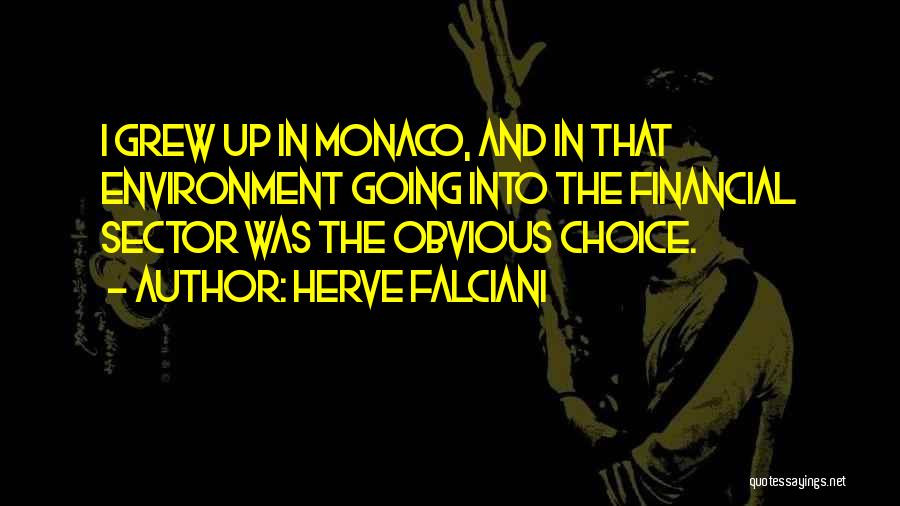 Herve Falciani Quotes: I Grew Up In Monaco, And In That Environment Going Into The Financial Sector Was The Obvious Choice.