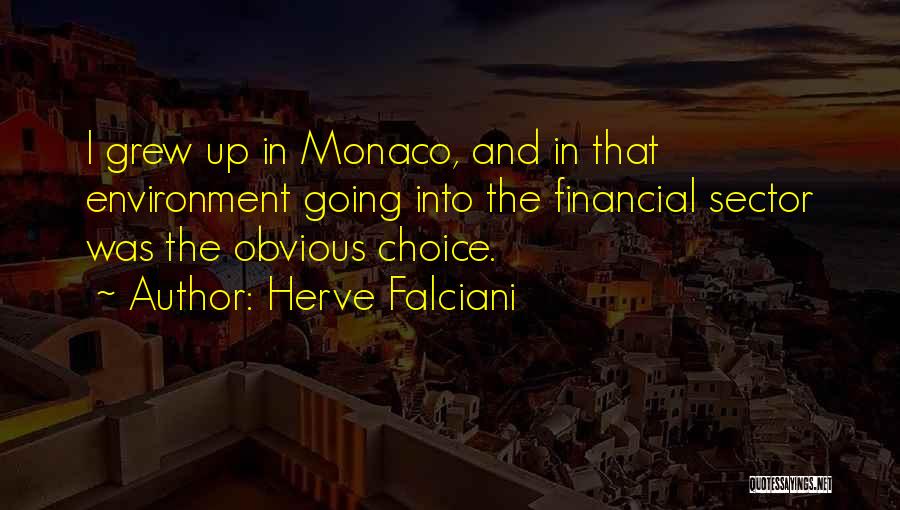 Herve Falciani Quotes: I Grew Up In Monaco, And In That Environment Going Into The Financial Sector Was The Obvious Choice.