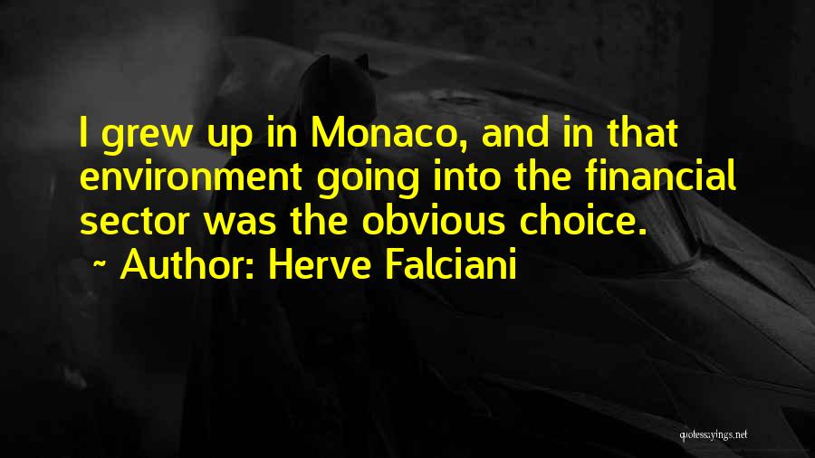 Herve Falciani Quotes: I Grew Up In Monaco, And In That Environment Going Into The Financial Sector Was The Obvious Choice.