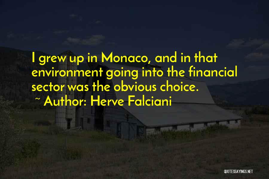 Herve Falciani Quotes: I Grew Up In Monaco, And In That Environment Going Into The Financial Sector Was The Obvious Choice.