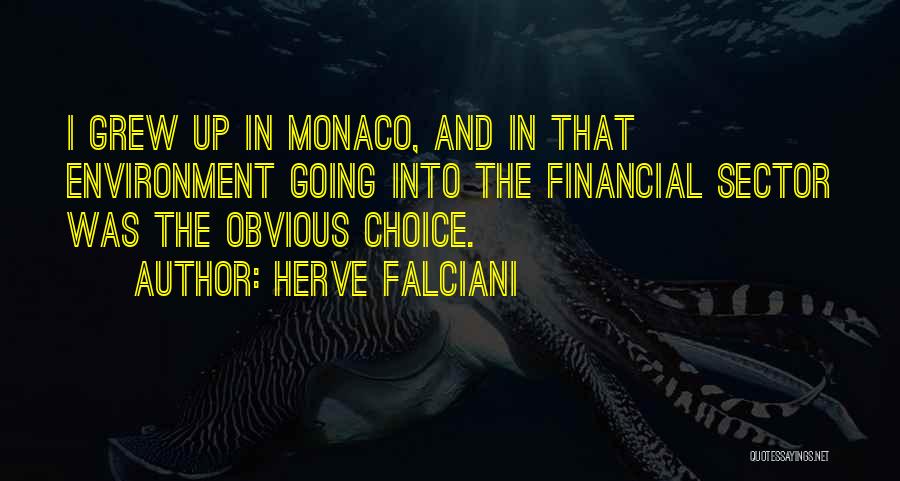 Herve Falciani Quotes: I Grew Up In Monaco, And In That Environment Going Into The Financial Sector Was The Obvious Choice.