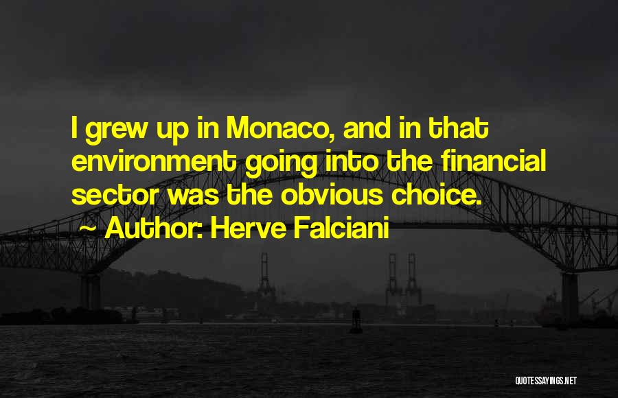 Herve Falciani Quotes: I Grew Up In Monaco, And In That Environment Going Into The Financial Sector Was The Obvious Choice.