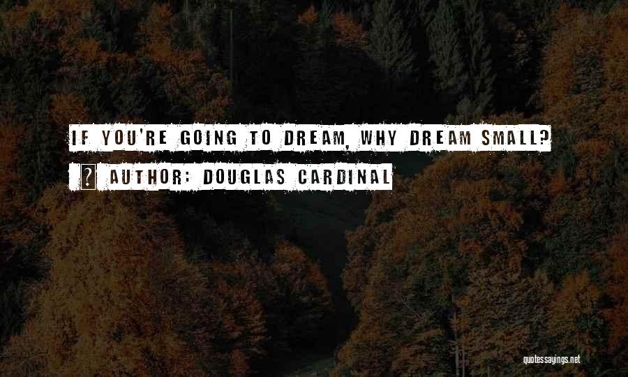 Douglas Cardinal Quotes: If You're Going To Dream, Why Dream Small?