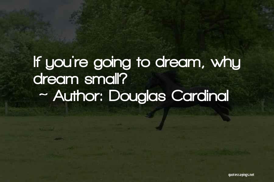 Douglas Cardinal Quotes: If You're Going To Dream, Why Dream Small?