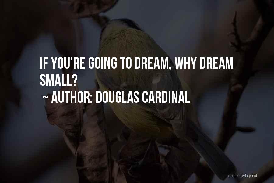 Douglas Cardinal Quotes: If You're Going To Dream, Why Dream Small?