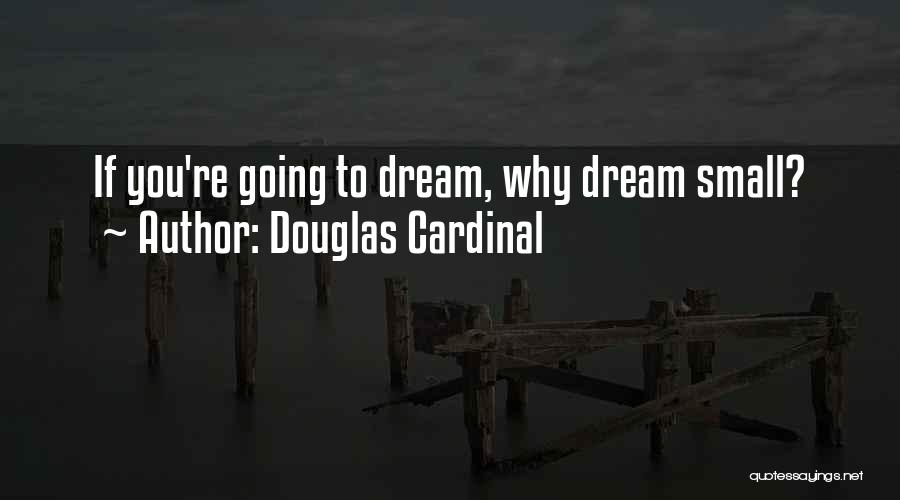 Douglas Cardinal Quotes: If You're Going To Dream, Why Dream Small?