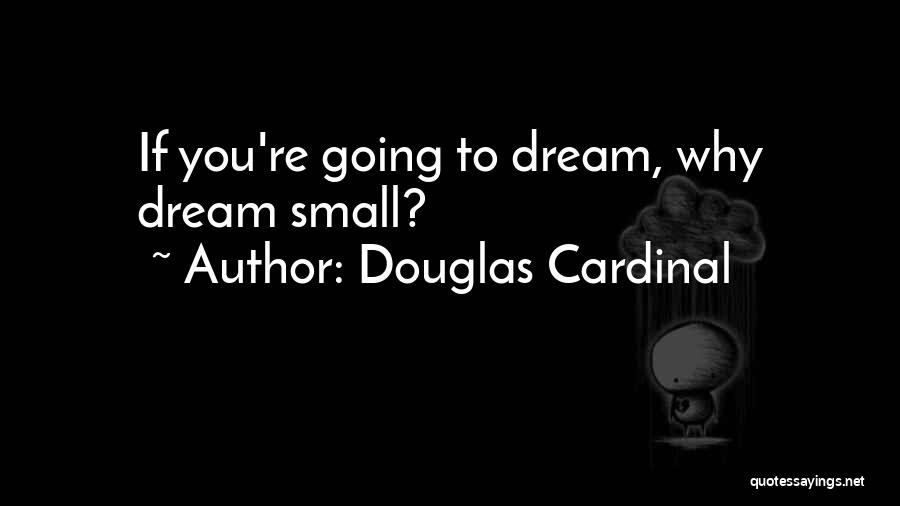 Douglas Cardinal Quotes: If You're Going To Dream, Why Dream Small?