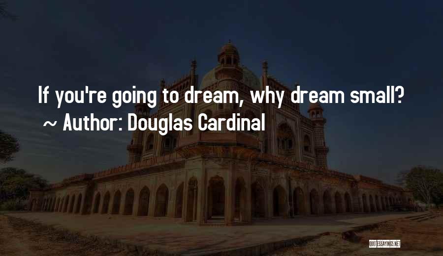 Douglas Cardinal Quotes: If You're Going To Dream, Why Dream Small?