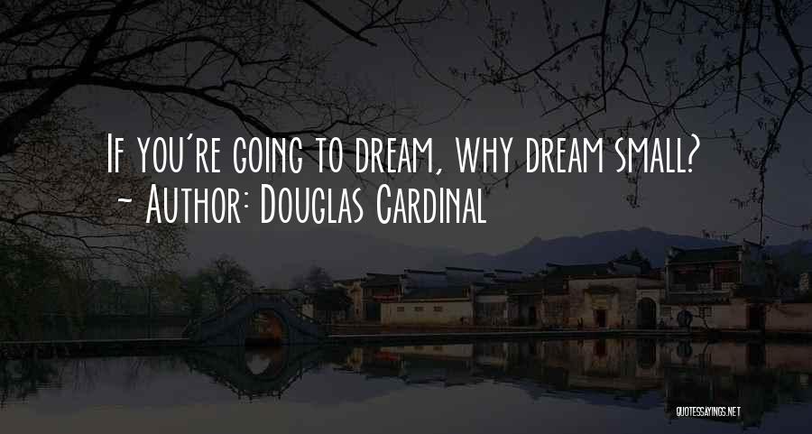 Douglas Cardinal Quotes: If You're Going To Dream, Why Dream Small?