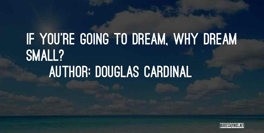 Douglas Cardinal Quotes: If You're Going To Dream, Why Dream Small?